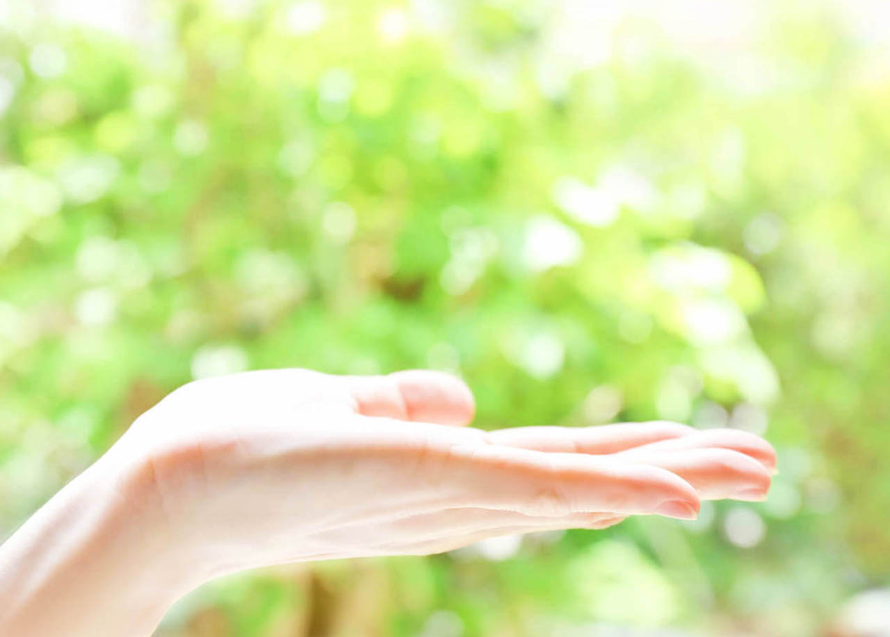 体験・見学募集中画像